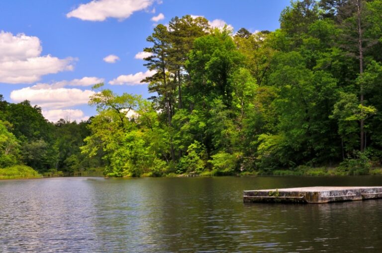 Kings Mountain State Park Photos & History Carolina Odyssey