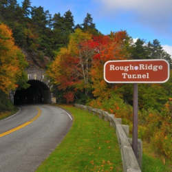 Fall Foliage Thumbnail