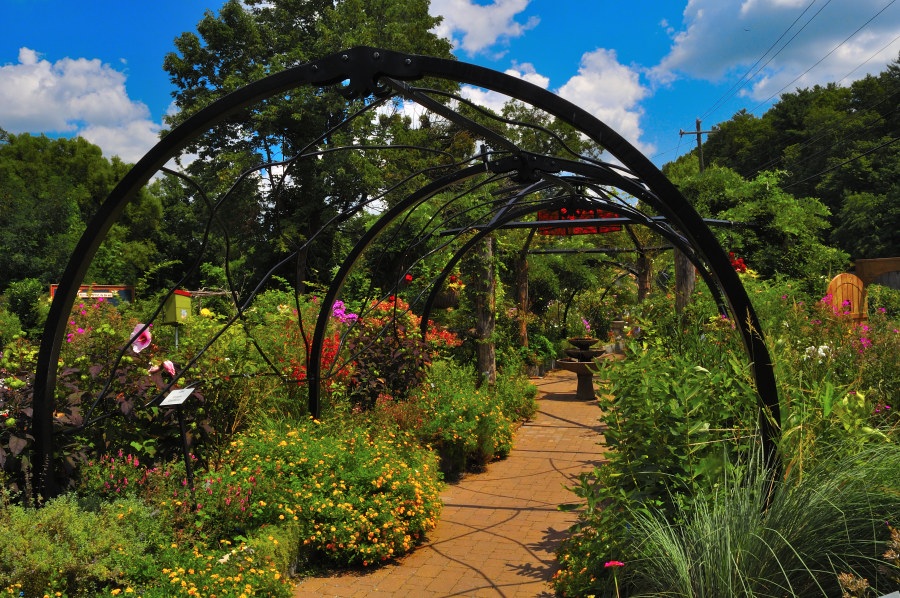 A peaceful garden pathway winds beneath a series of elegant black metal arches, each adorned with climbing greenery. The walkway is framed by vibrant flowerbeds featuring rich reds, purples, yellows, and pinks that pop against the lush foliage. Tall trees tower overhead under a blue sky dotted with fluffy white clouds, creating a tranquil backdrop. The carefully landscaped space invites a slow, reflective stroll through nature’s artistry.