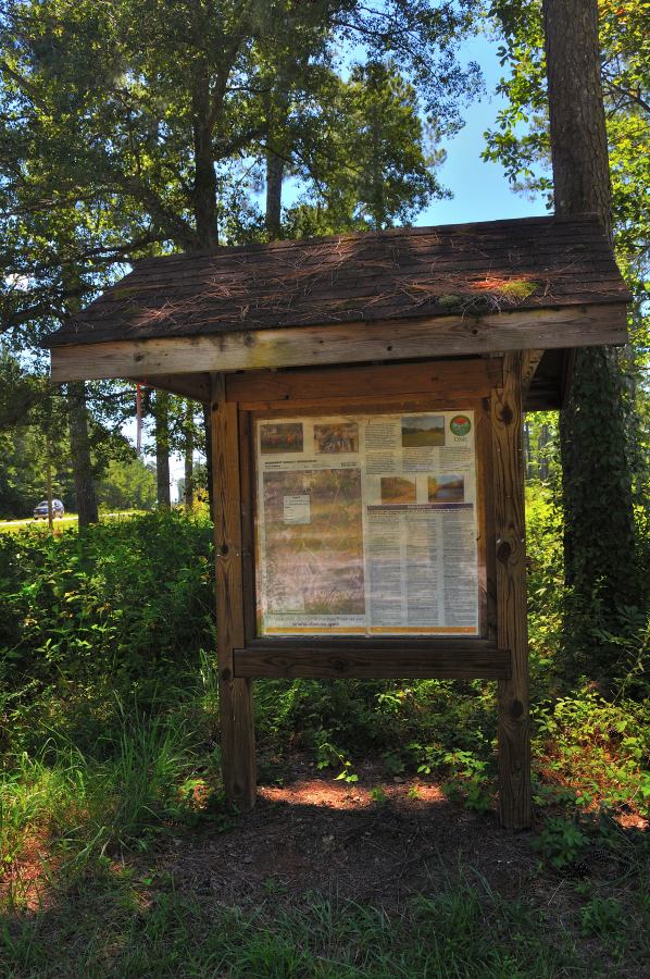 Wooden information kiosk with a shingled roof at the main road entrance to Belfast Wildlife Management Area in South Carolina, surrounded by pine trees and natural vegetation.