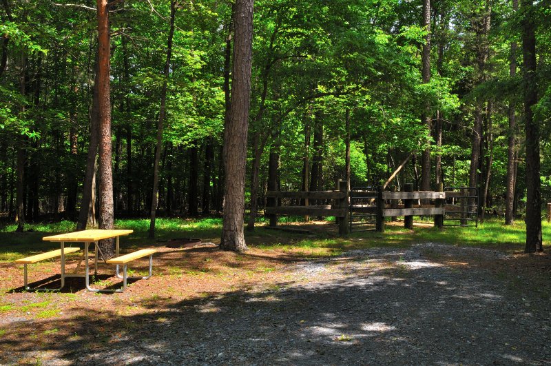 A shaded campsite at Kings Mountain State Park features a wooden picnic table beneath tall trees, with sunlight filtering through the canopy. In the background, a rustic wooden corral with a gate and ramp stands ready for horses, blending recreation with the park’s equestrian heritage. The peaceful forest setting offers both rest and connection to the rhythms of outdoor life.