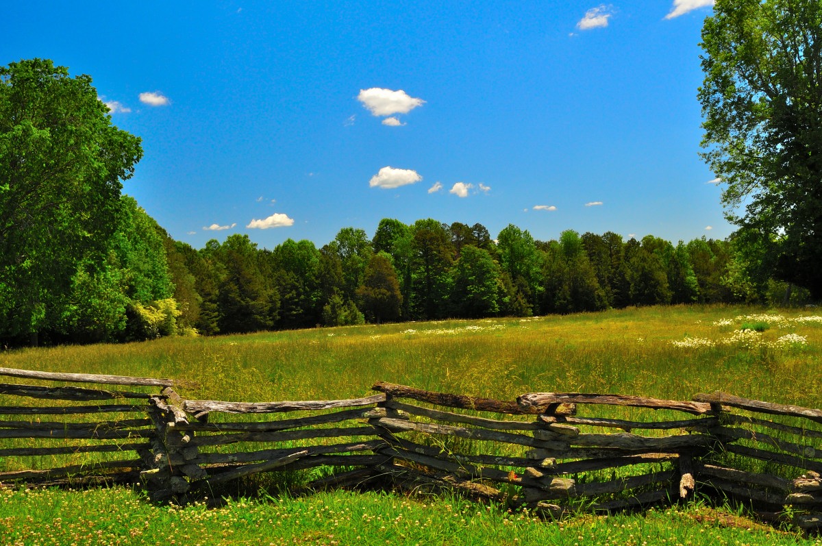 A rustic split-rail fence runs diagonally across the foreground of a sunlit pasture at Kings Mountain State Park’s Living History Farm. Wildflowers scatter across the grassy field, leading to a dense backdrop of tall green trees beneath a bright blue sky with scattered clouds. The scene evokes a tranquil, pastoral atmosphere, reminiscent of 19th-century Carolina farm life.