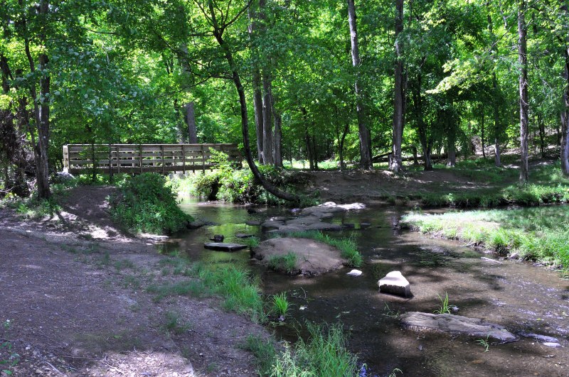 A wooden footbridge crosses a rocky creek along a shaded trail at Kings Mountain State Park. Sunlight filters through tall trees, casting dappled light on the water and forest floor. The scene captures the quiet beauty of a woodland hike, inviting visitors to pause and enjoy the natural surroundings.