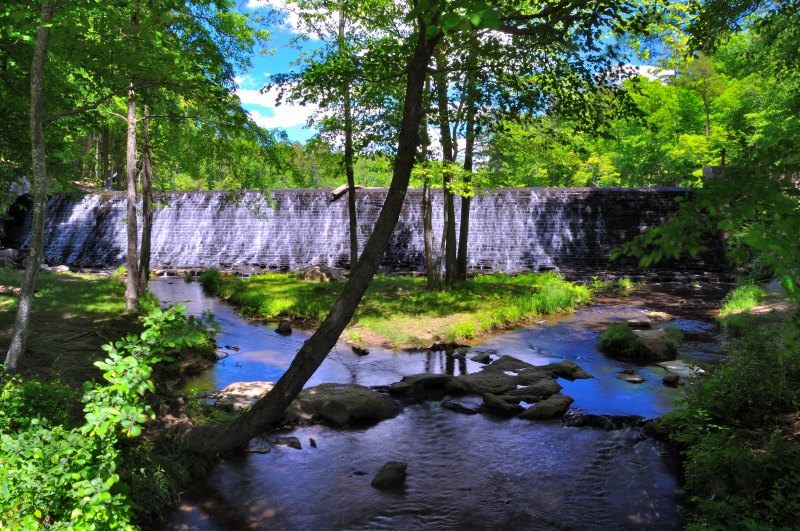 A waterfall flows evenly over a stone dam at Kings Mountain State Park, creating a curtain of water that spills into a shallow stream. The creek winds through a forest of tall trees with bright green foliage, while sunlight filters through the leaves and casts dappled shadows on the rocks and grass along the banks. The scene blends natural beauty with historic craftsmanship, evoking tranquility and connection to the land.